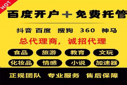谷歌SEM广告投放策略解析：一家旅游公司的成功案例